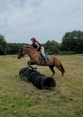 Screenshot 20210804-190225 Gallery