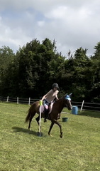 IMG 0040