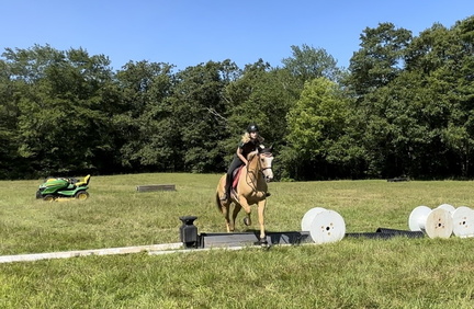 IMG 2106