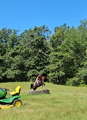 Screenshot 20230801 130307 Gallery